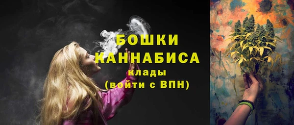 гидропоника Белокуриха
