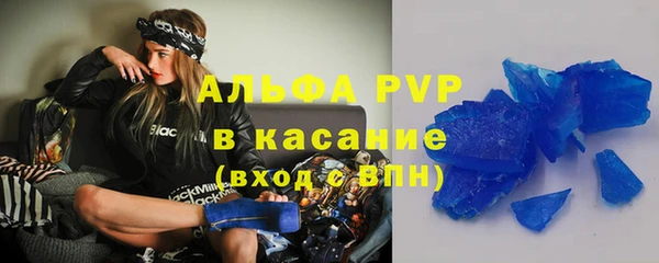 индика Белоозёрский