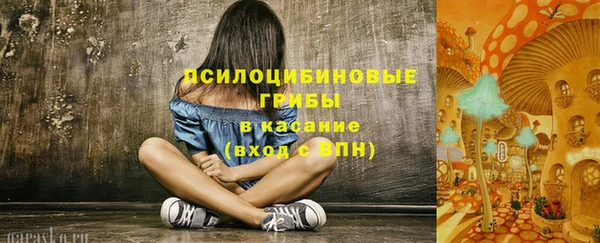 индика Белоозёрский