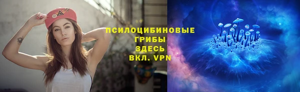гидропоника Белокуриха