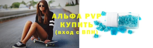индика Белоозёрский
