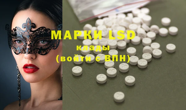индика Белоозёрский