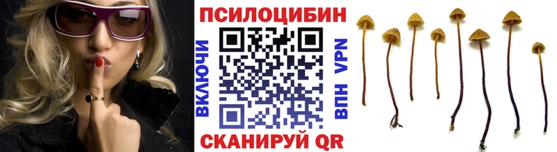 Псилоцибиновые грибы Cubensis  Гремячинск 
